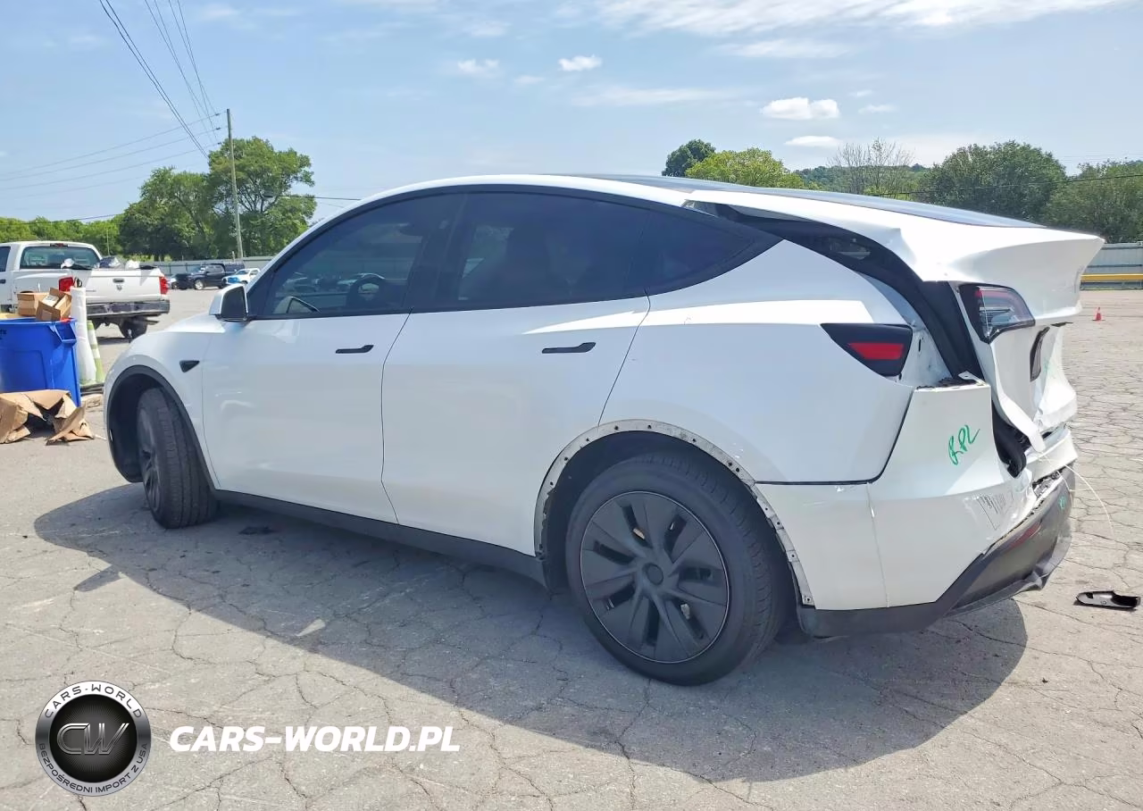 2024 Tesla Model Y VIN:7SAYGDED3RF097794 - 2