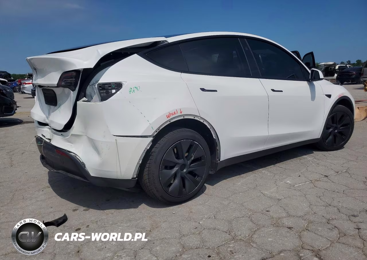 2024 Tesla Model Y VIN:7SAYGDED3RF097794 - 3