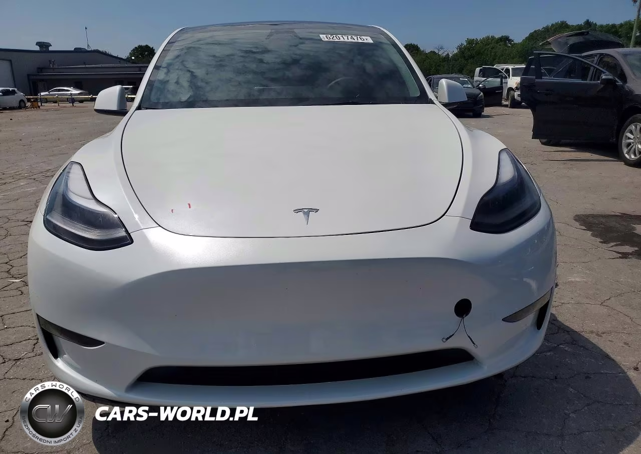 2024 Tesla Model Y VIN:7SAYGDED3RF097794 - 5