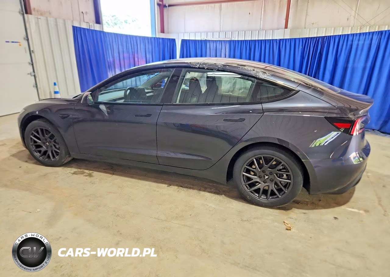 2025 Tesla Model 3 VIN:5YJ3E1EB4SF938053 - 2