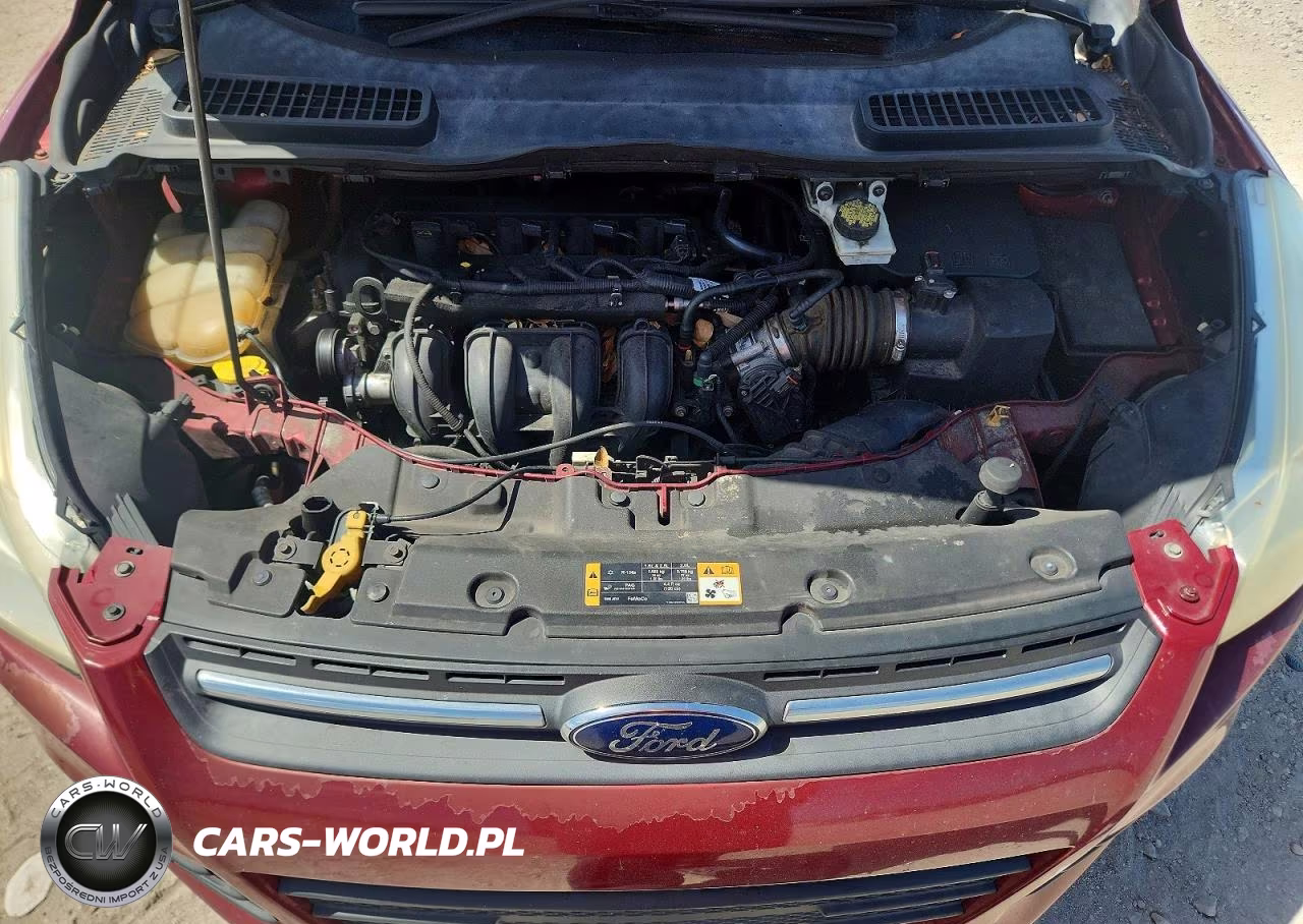 2016 Ford Escape Se VIN:1FMCU0G74GUC28957 - 12