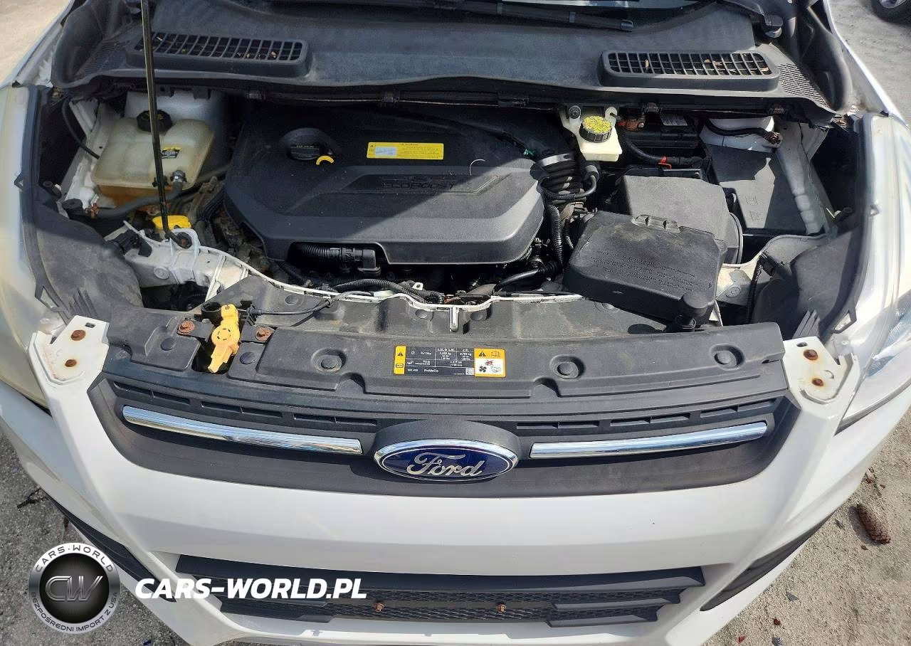 2013 Ford Escape Se VIN:1FMCU9GX6DUB35678 - 12