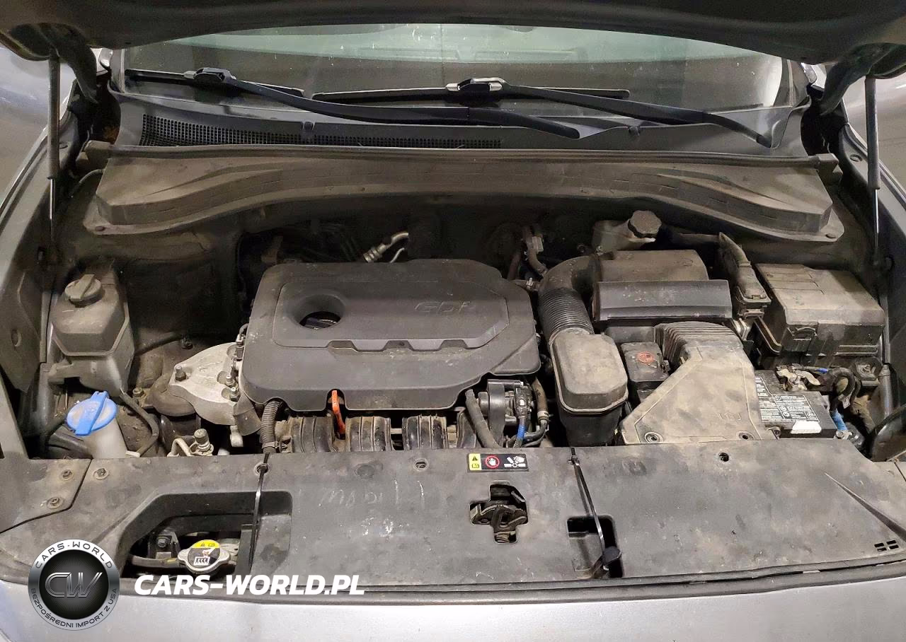 2019 Hyundai Santa Fe Sel 2.4L VIN:5NMS3CAD1KH074341 - 12