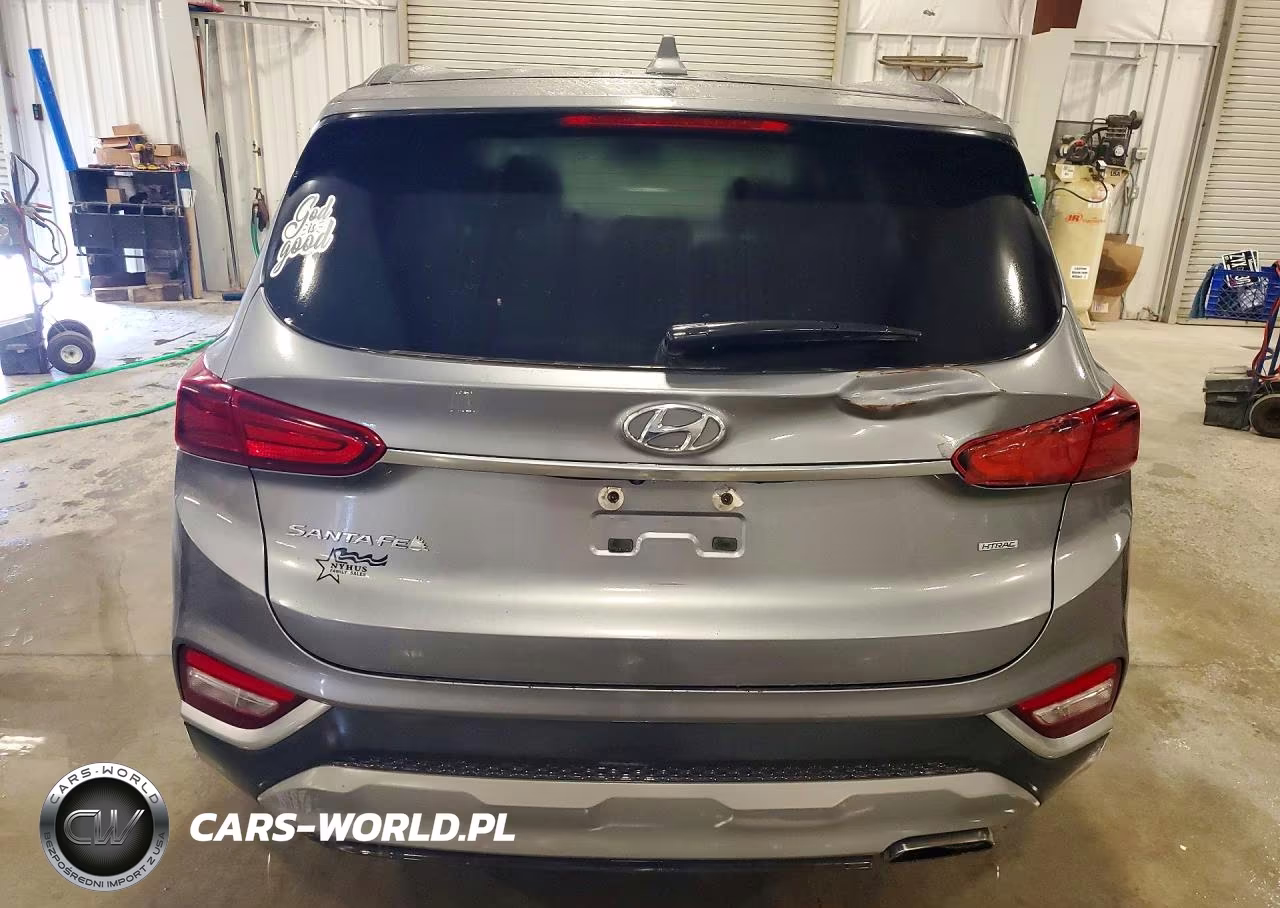 2019 Hyundai Santa Fe Sel 2.4L VIN:5NMS3CAD1KH074341 - 6