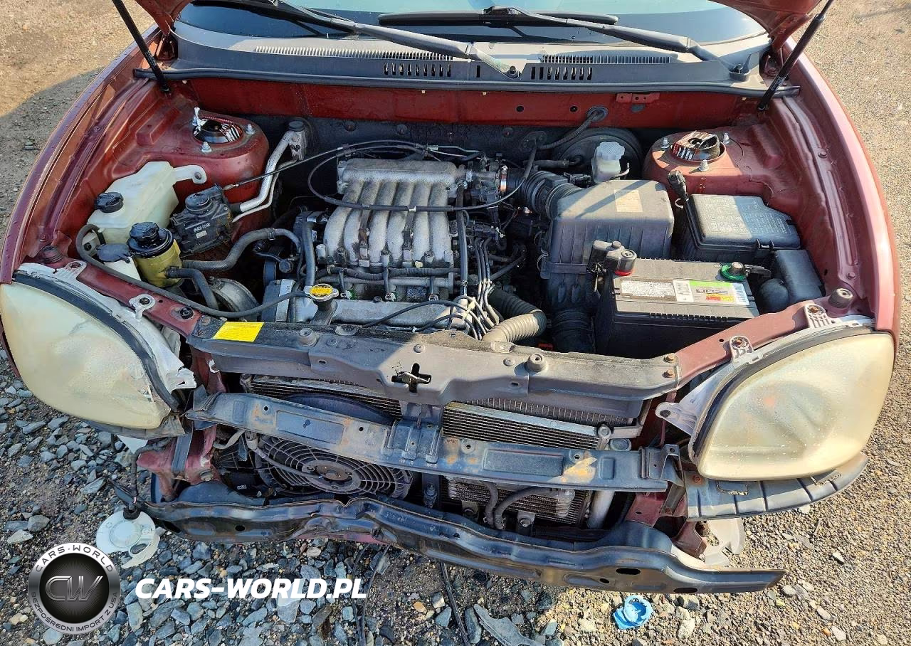 2002 Hyundai Santa Fegl VIN:KM8SC13D32U189741 - 12