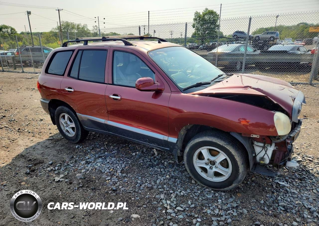 2002 Hyundai Santa Fegl VIN:KM8SC13D32U189741 - 4