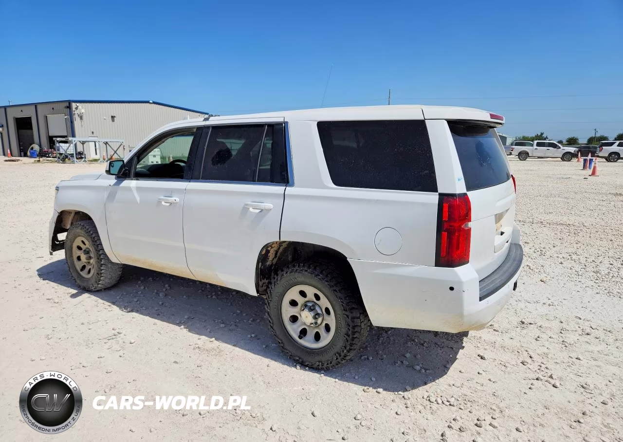 2017 Chevrolet Tahoe Special VIN:1GNSKFEC0HR267596 - 2