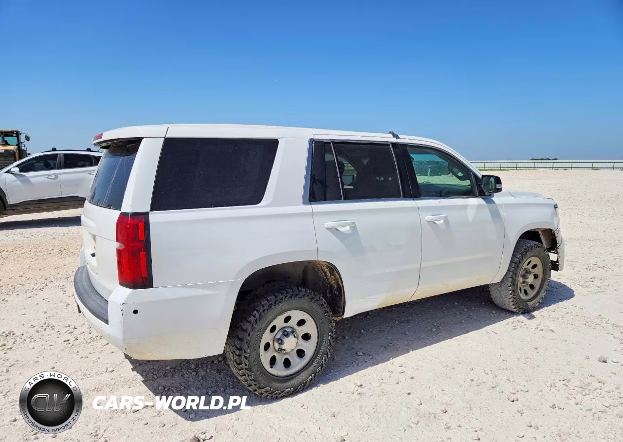 2017 Chevrolet Tahoe Special VIN:1GNSKFEC0HR267596 - 3