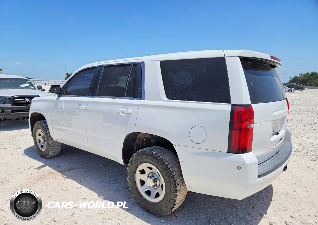 2019 Chevrolet Tahoe Special VIN:1GNSKFEC4KR123606 - 2
