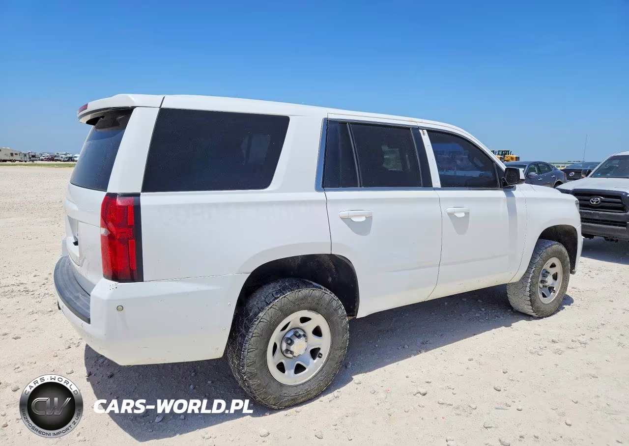 2019 Chevrolet Tahoe Special VIN:1GNSKFEC4KR123606 - 3