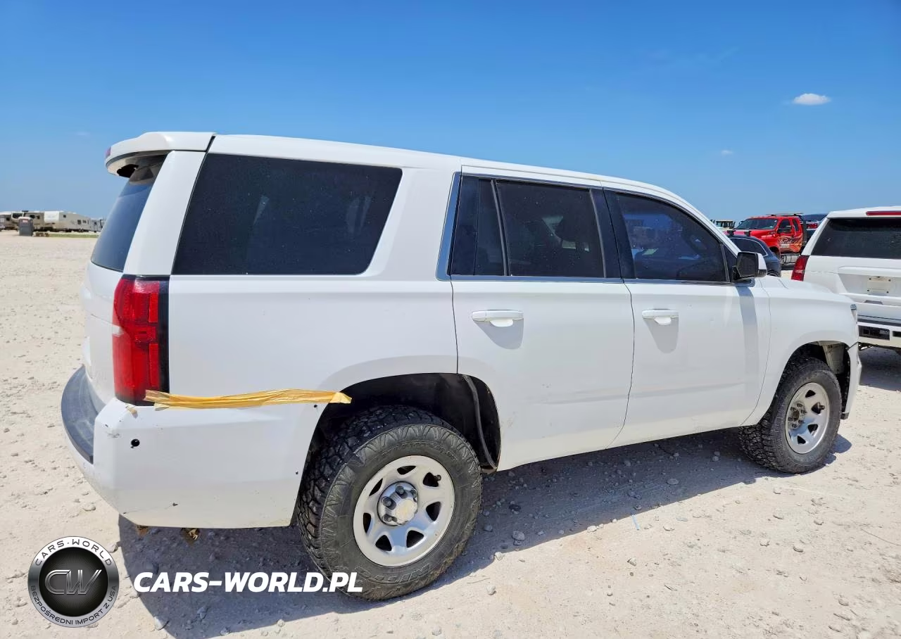 2019 Chevrolet Tahoe Special VIN:1GNSKFEC5KR122948 - 3