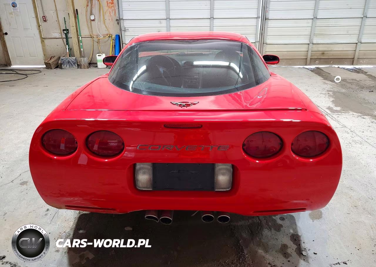 1999 Chevrolet Corvette VIN:1G1YY22G0X5101062 - 6