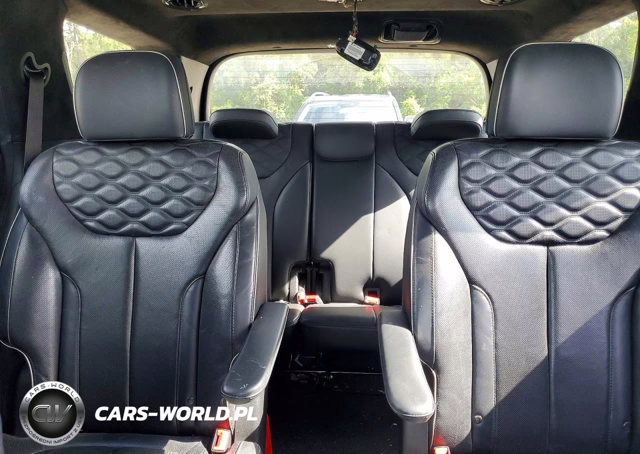2020 Hyundai Palisade Limited VIN:KM8R5DHE2LU077090 - 10