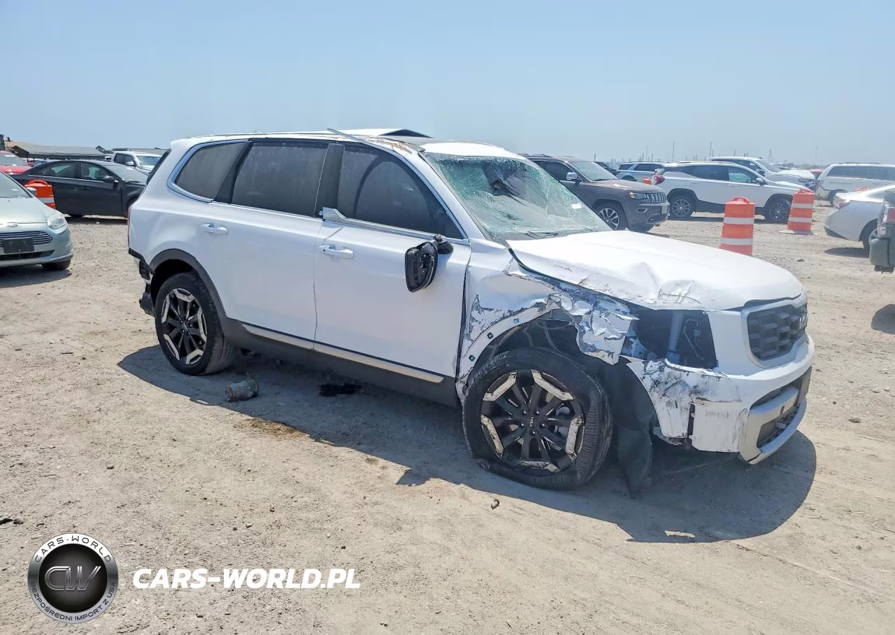 2025 Kia Telluride S VIN:5XYP64GC8SG711589 - 4