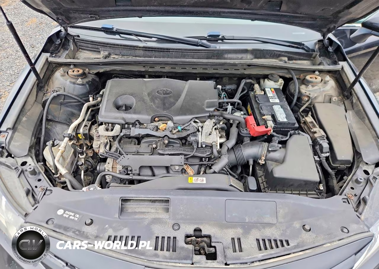 2019 Toyota Camry Le VIN:4T1B11HK2KU742490 - 11