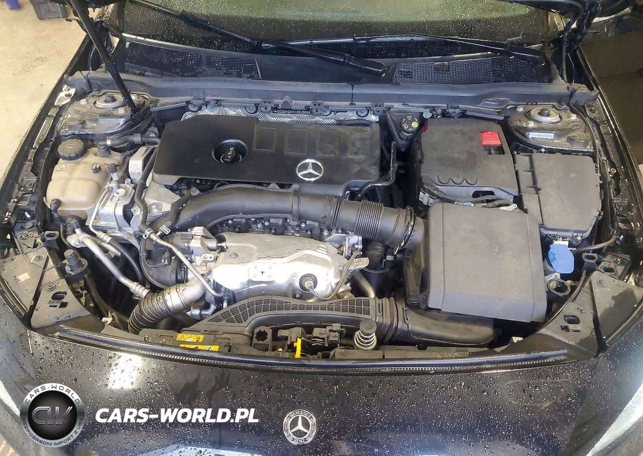 2019 Mercedes-Benz A 220 VIN:WDD3G4EB4KW001569 - 11