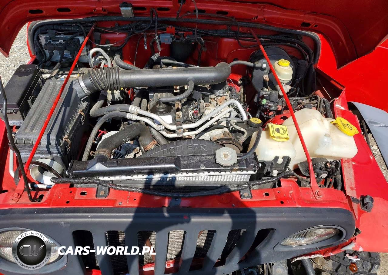 2004 Jeep Wrangler X VIN:1J4FA39S34P746463 - 12