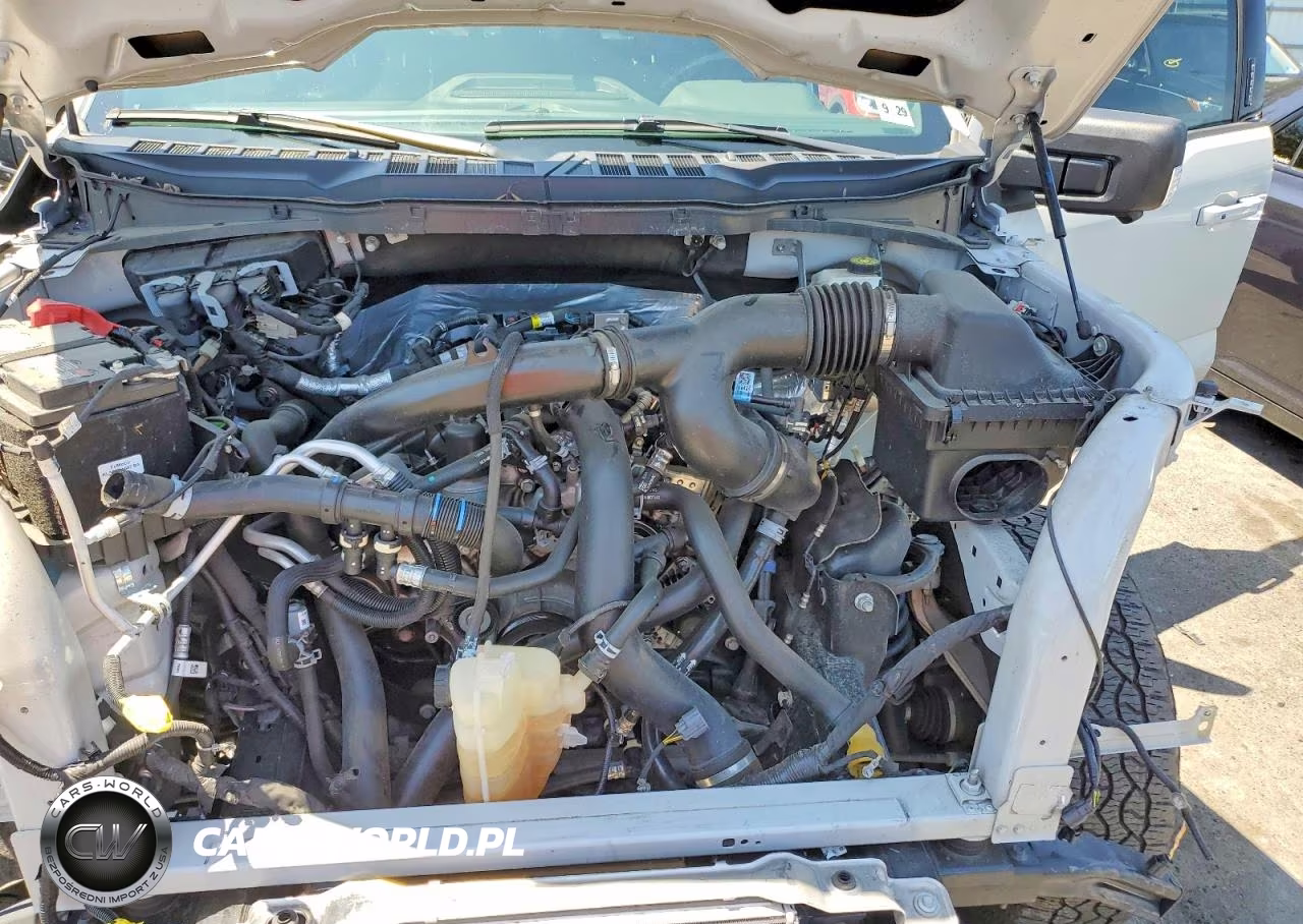 2024 Ford F150 Xlt VIN:1FTEW3LP5RKD87483 - 11