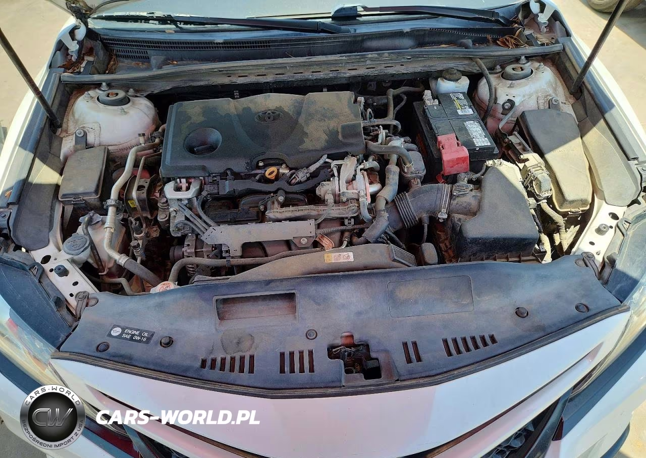 2019 Toyota Camry Xse VIN:4T1B61HK1KU280764 - 11