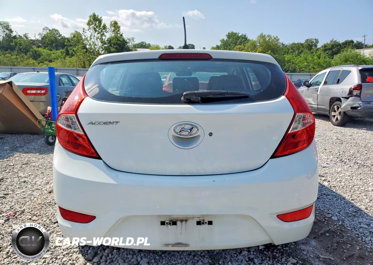 2014 Hyundai Accent Gs VIN:KMHCT5AE7EU183419 - 6