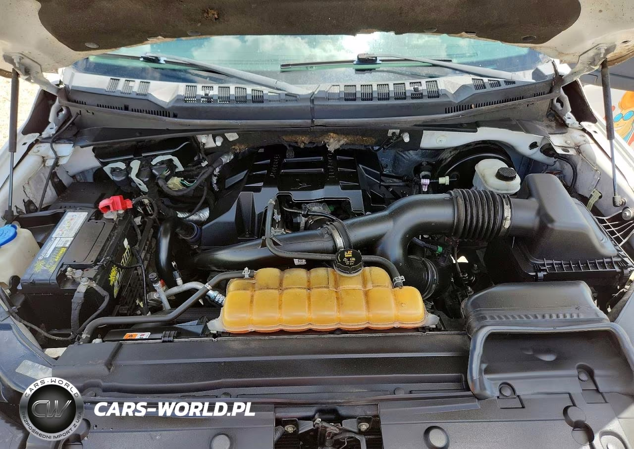 2018 Ford F150 VIN:1FTMF1CP0JKD23369 - 11