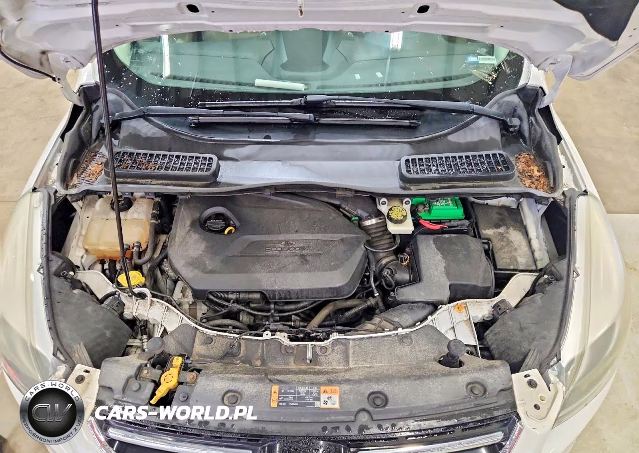 2014 Ford Escape Titanium VIN:1FMCU9JX1EUA90028 - 12