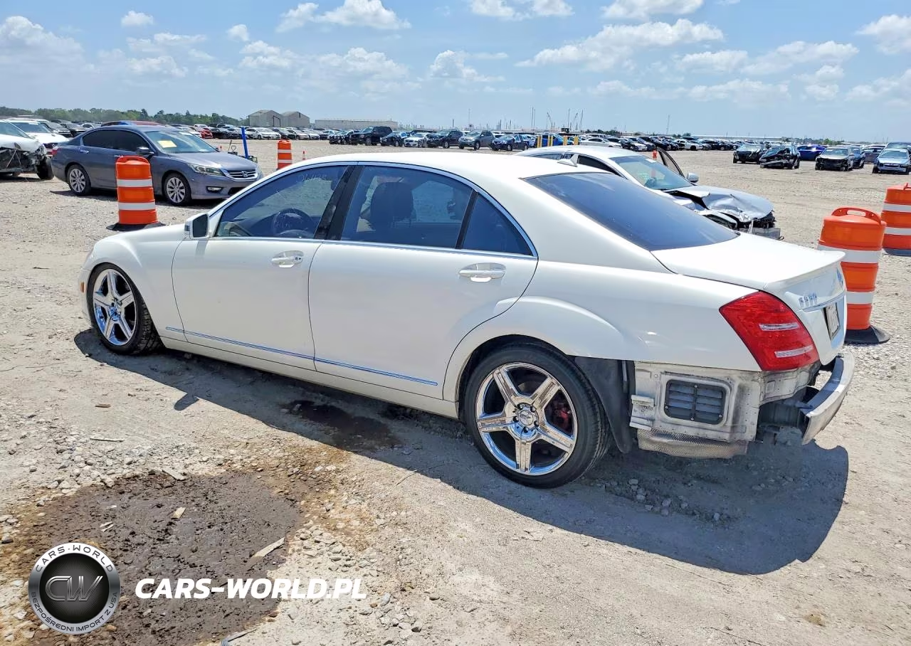 2010 Mercedes-Benz S 550 VIN:WDDNG7BB3AA324733 - 2