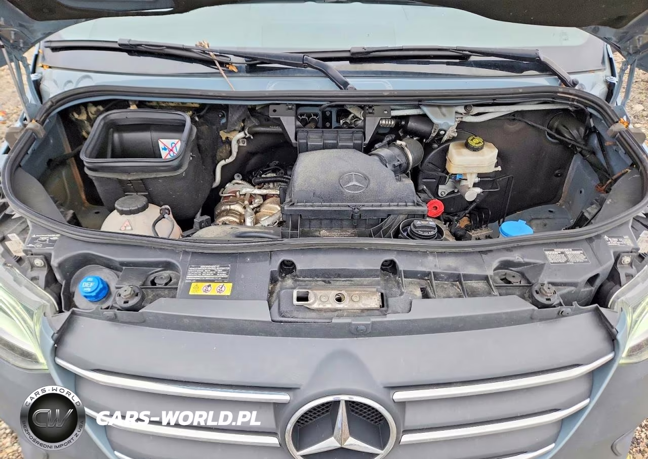 2024 Mercedes-Benz Sprinter 2500 VIN:W1W4NCVY5RP640264 - 11