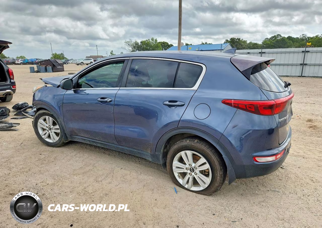 2019 Kia Sportage Lx VIN:KNDPM3AC6K7491164 - 2