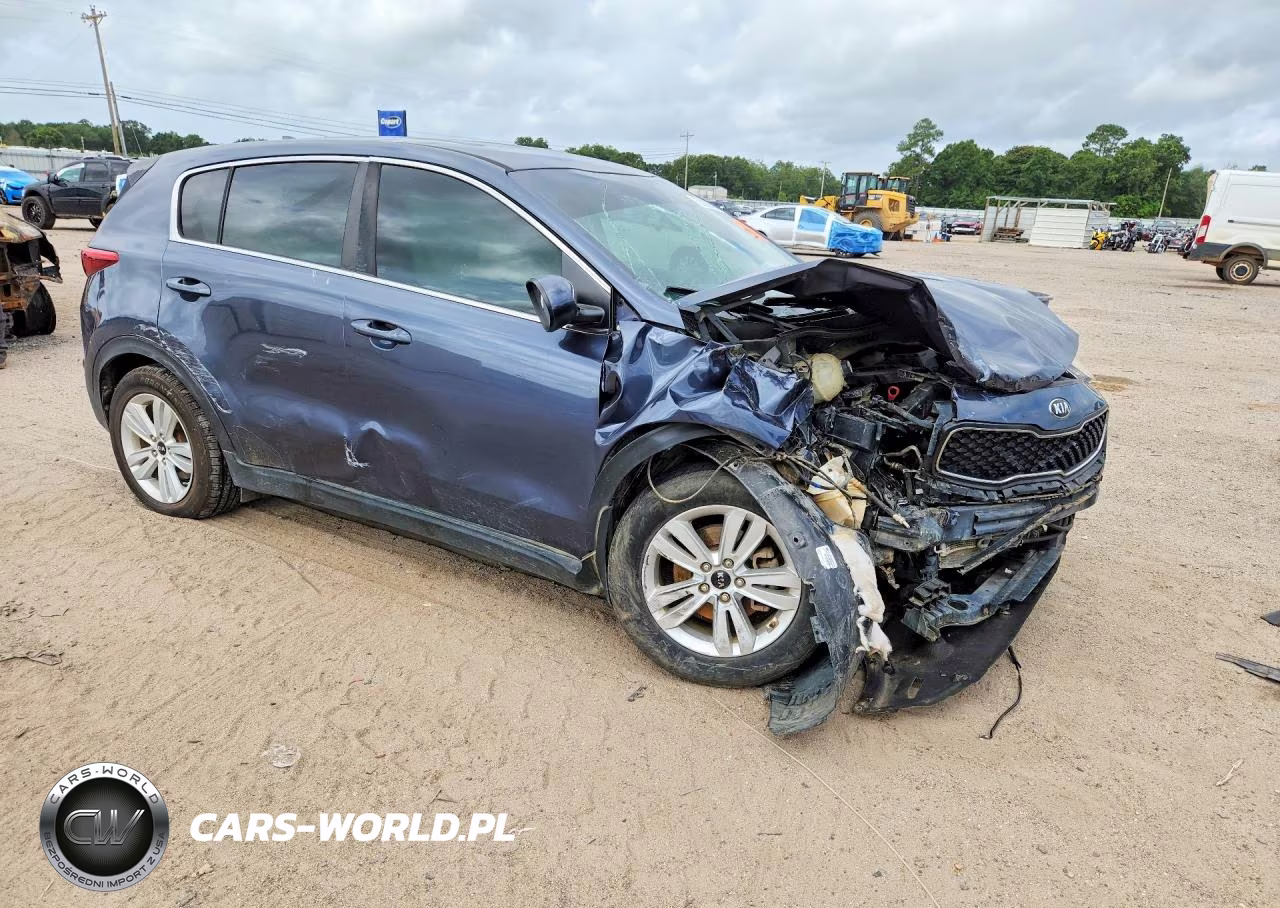 2019 Kia Sportage Lx VIN:KNDPM3AC6K7491164 - 4
