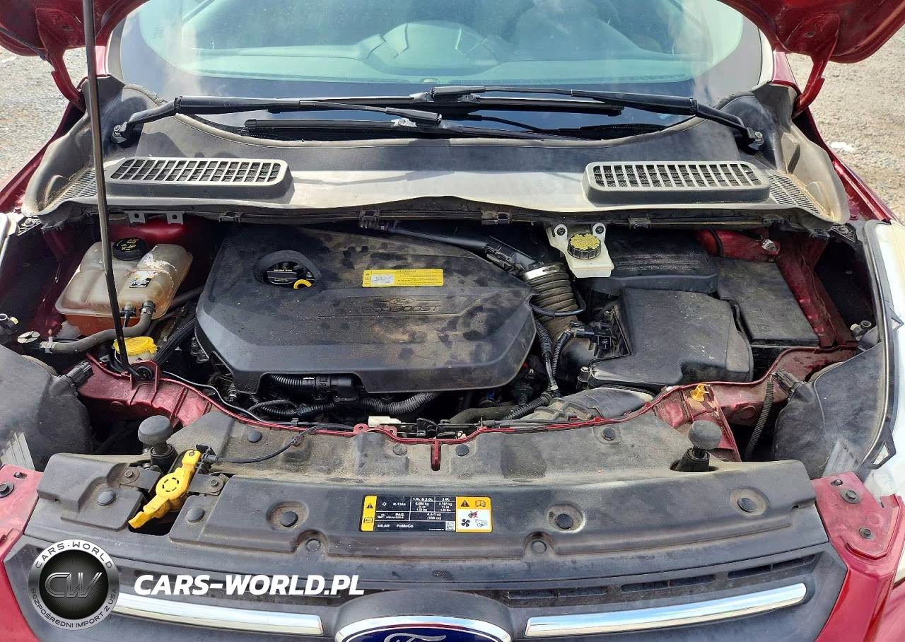 2013 Ford Escape Se VIN:1FMCU0GX3DUD77324 - 12