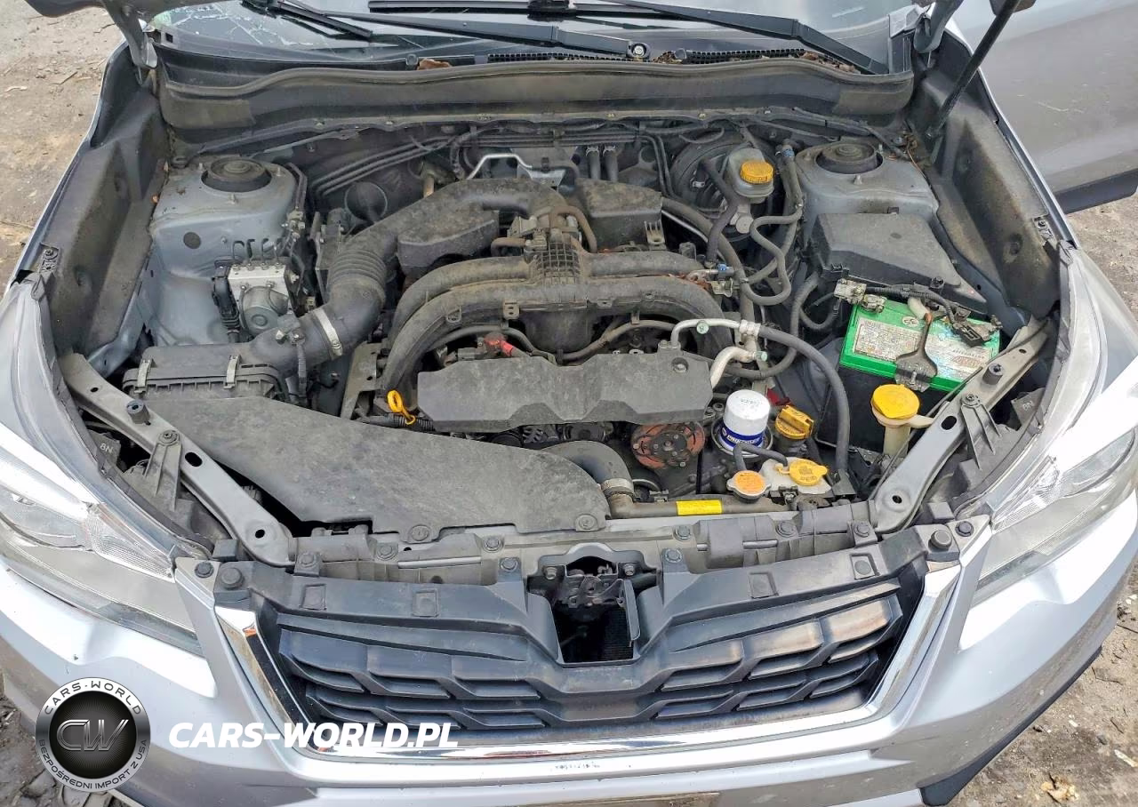 2018 Subaru Forester 2.5I Premium VIN:JF2SJAEC0JH471777 - 12
