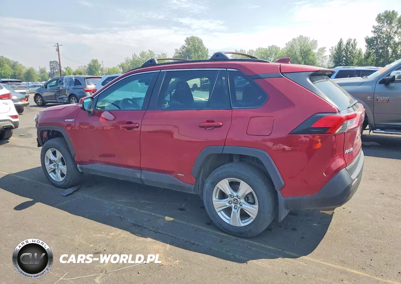 2019 Toyota Rav4 Le VIN:2T3MWRFV7KW014810 - 2