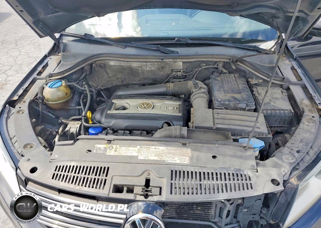 2016 Volkswagen Tiguan S VIN:WVGBV7AX7GW548420 - 12