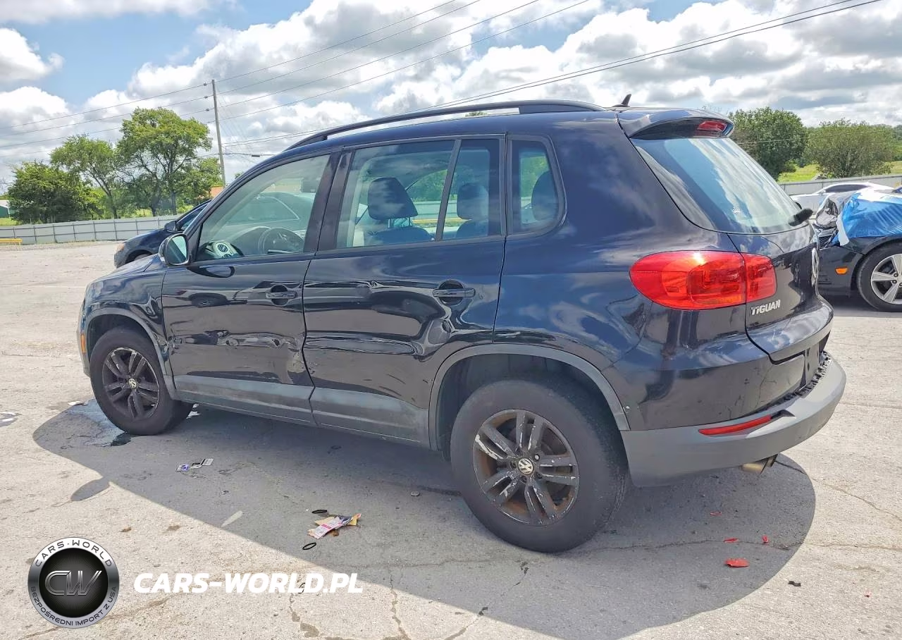 2016 Volkswagen Tiguan S VIN:WVGBV7AX7GW548420 - 2