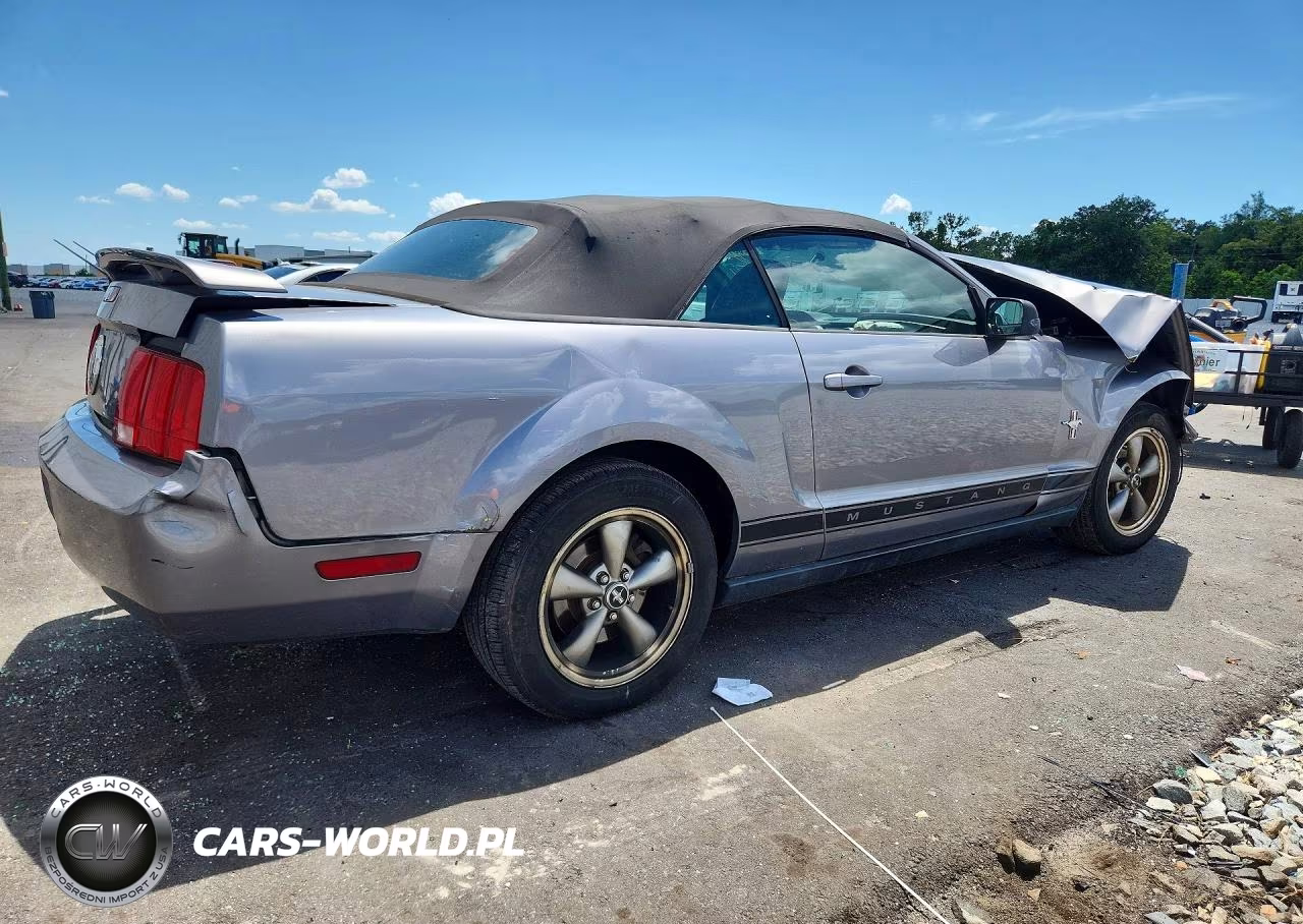 2006 Ford Mustang VIN:1ZVHT84N265259743 - 3
