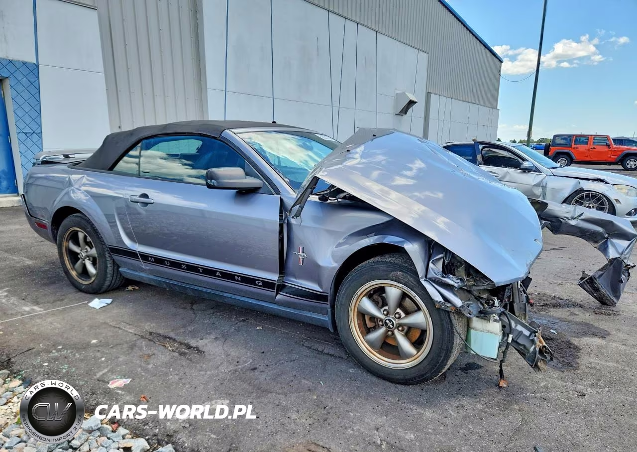 2006 Ford Mustang VIN:1ZVHT84N265259743 - 4