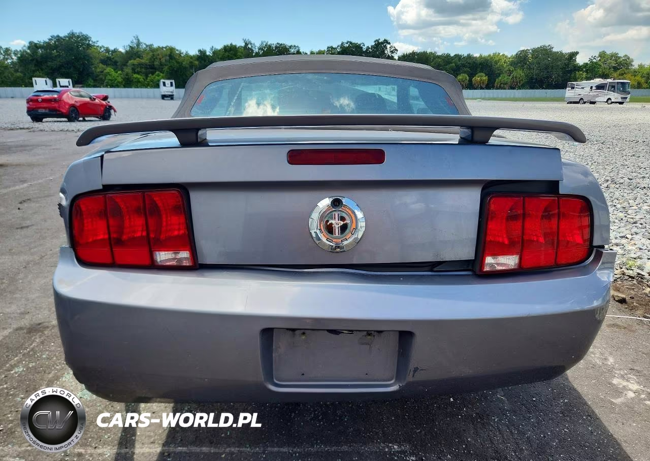 2006 Ford Mustang VIN:1ZVHT84N265259743 - 6