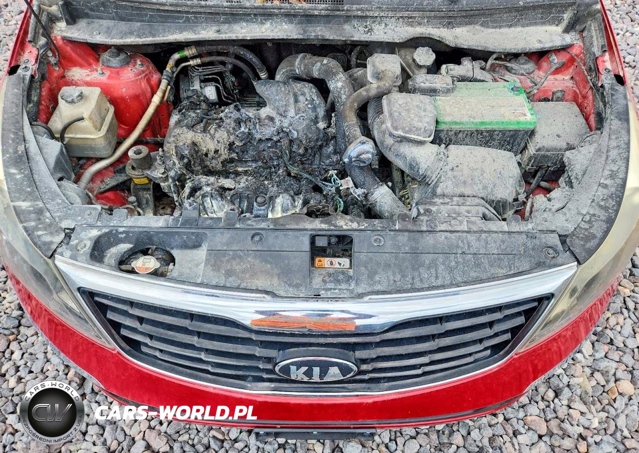 2014 Kia Sportage Sx VIN:KNDPC3A69E7582947 - 11