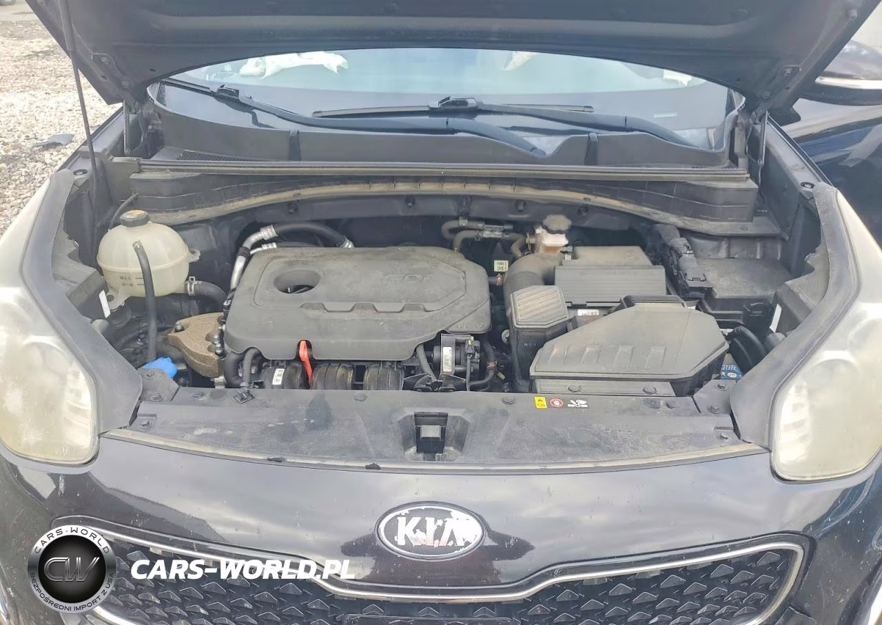 2017 Kia Sportage Ex VIN:KNDPNCAC8H7157448 - 12
