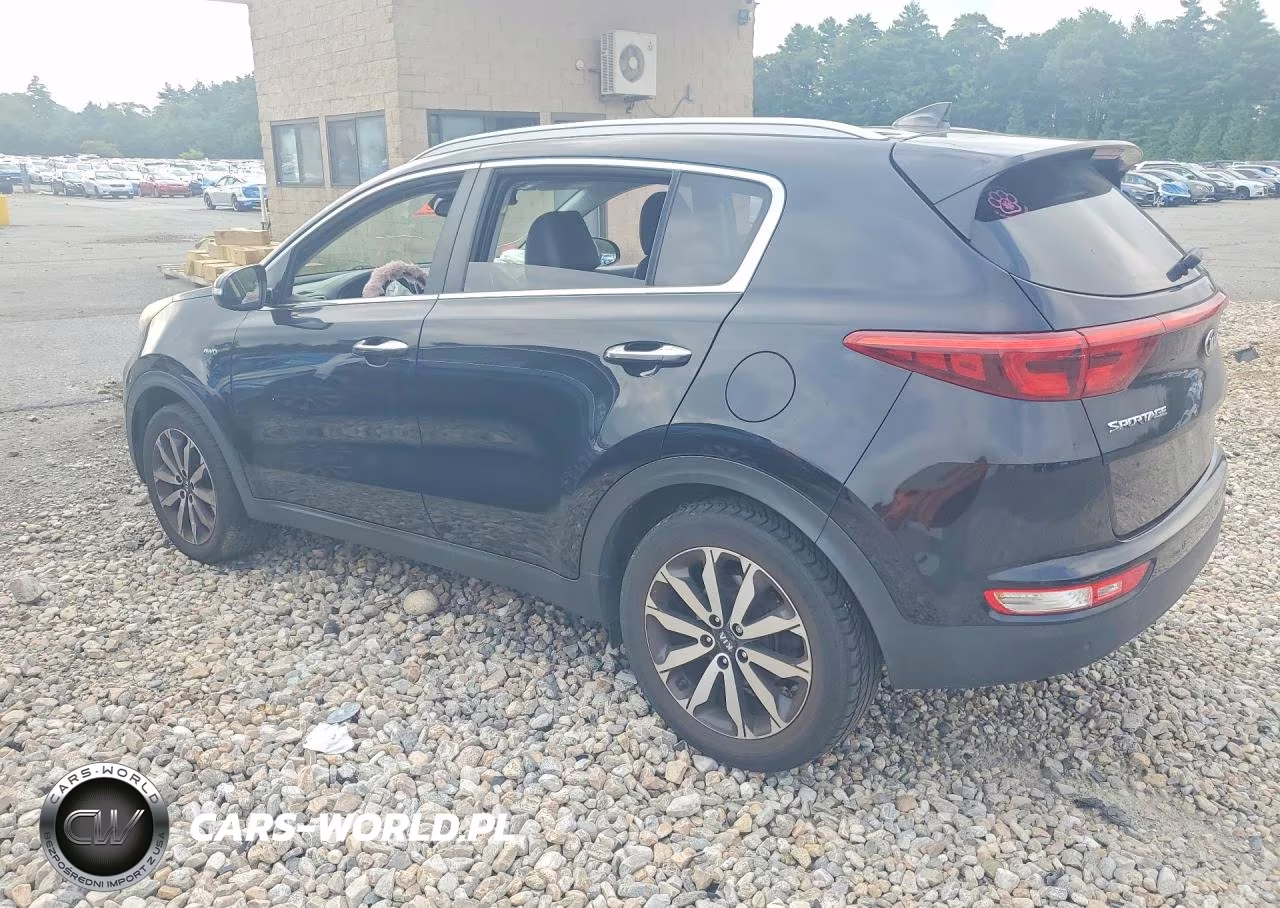 2017 Kia Sportage Ex VIN:KNDPNCAC8H7157448 - 2