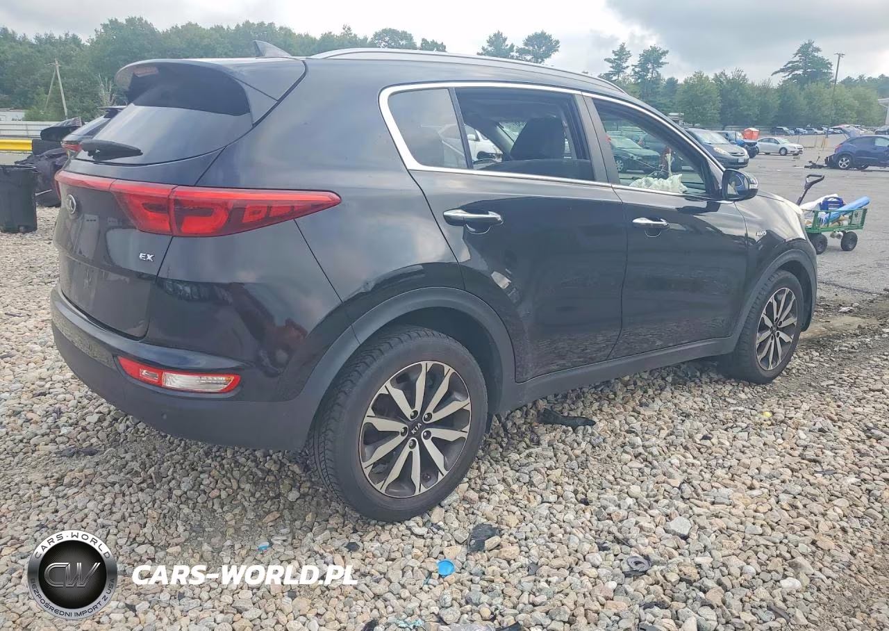 2017 Kia Sportage Ex VIN:KNDPNCAC8H7157448 - 3