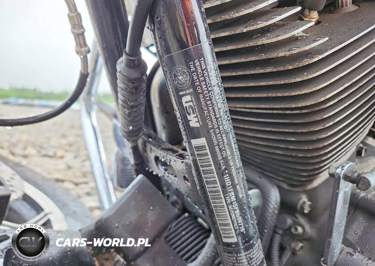 2015 Harley-Davidson Flhr Road King VIN:1HD1FBM15FB699719 - 9