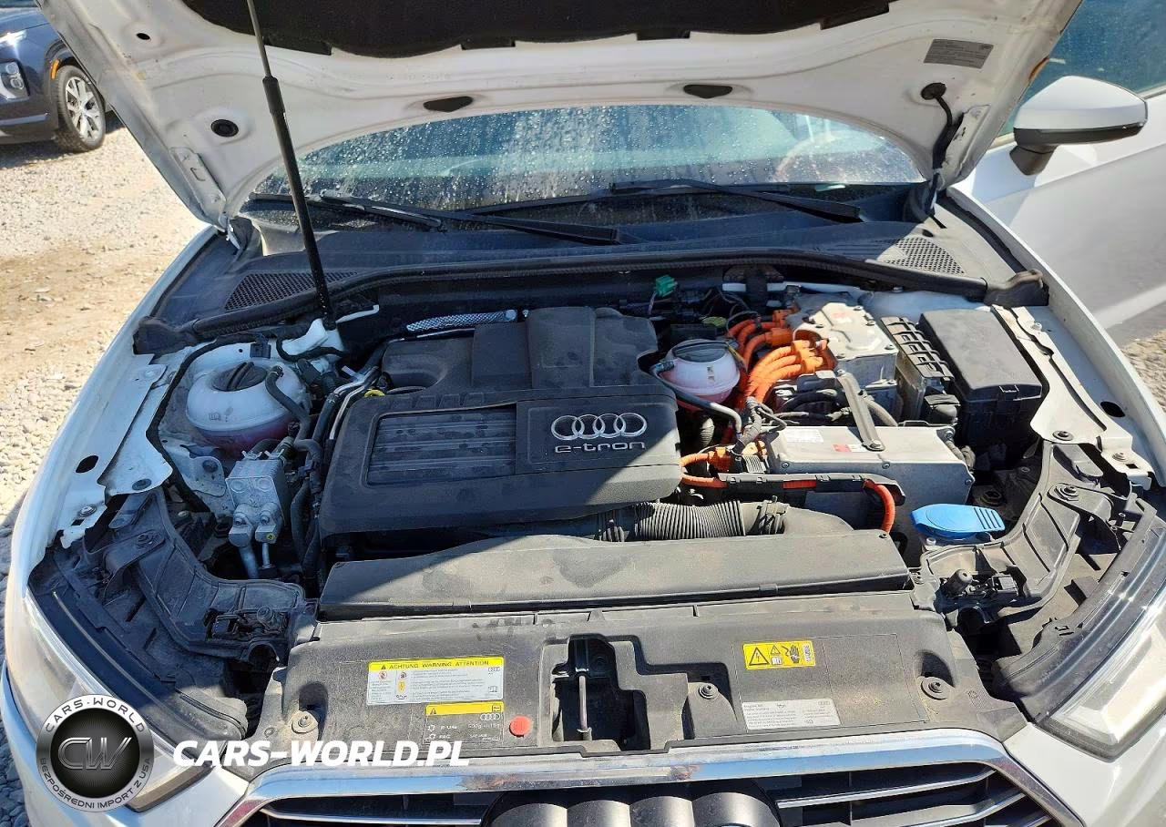 2017 Audi A3 E-Tron Premium VIN:WAUUPBFF0HA044717 - 11