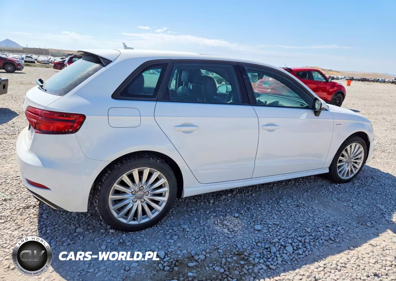 2017 Audi A3 E-Tron Premium VIN:WAUUPBFF0HA044717 - 3