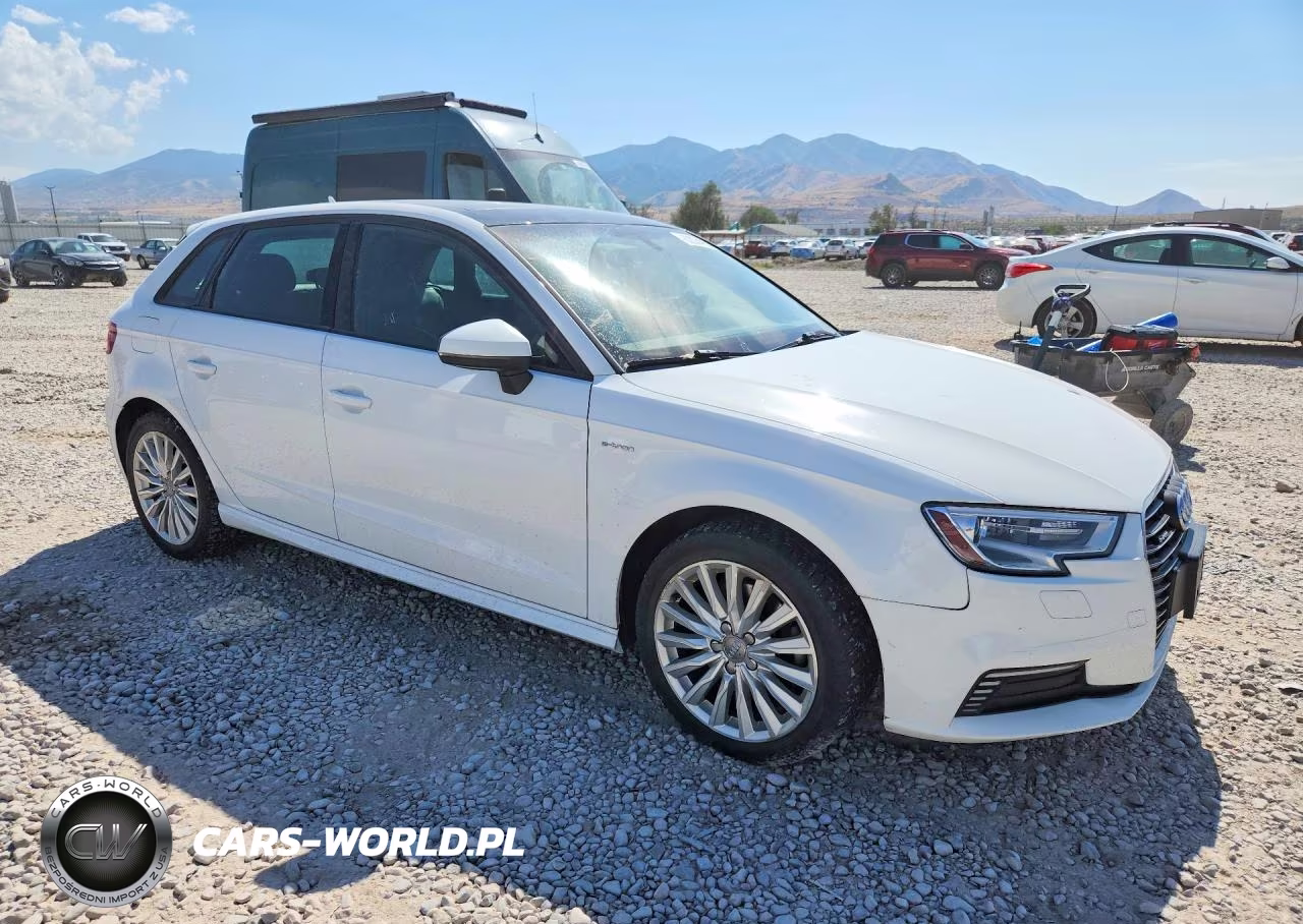 2017 Audi A3 E-Tron Premium VIN:WAUUPBFF0HA044717 - 4