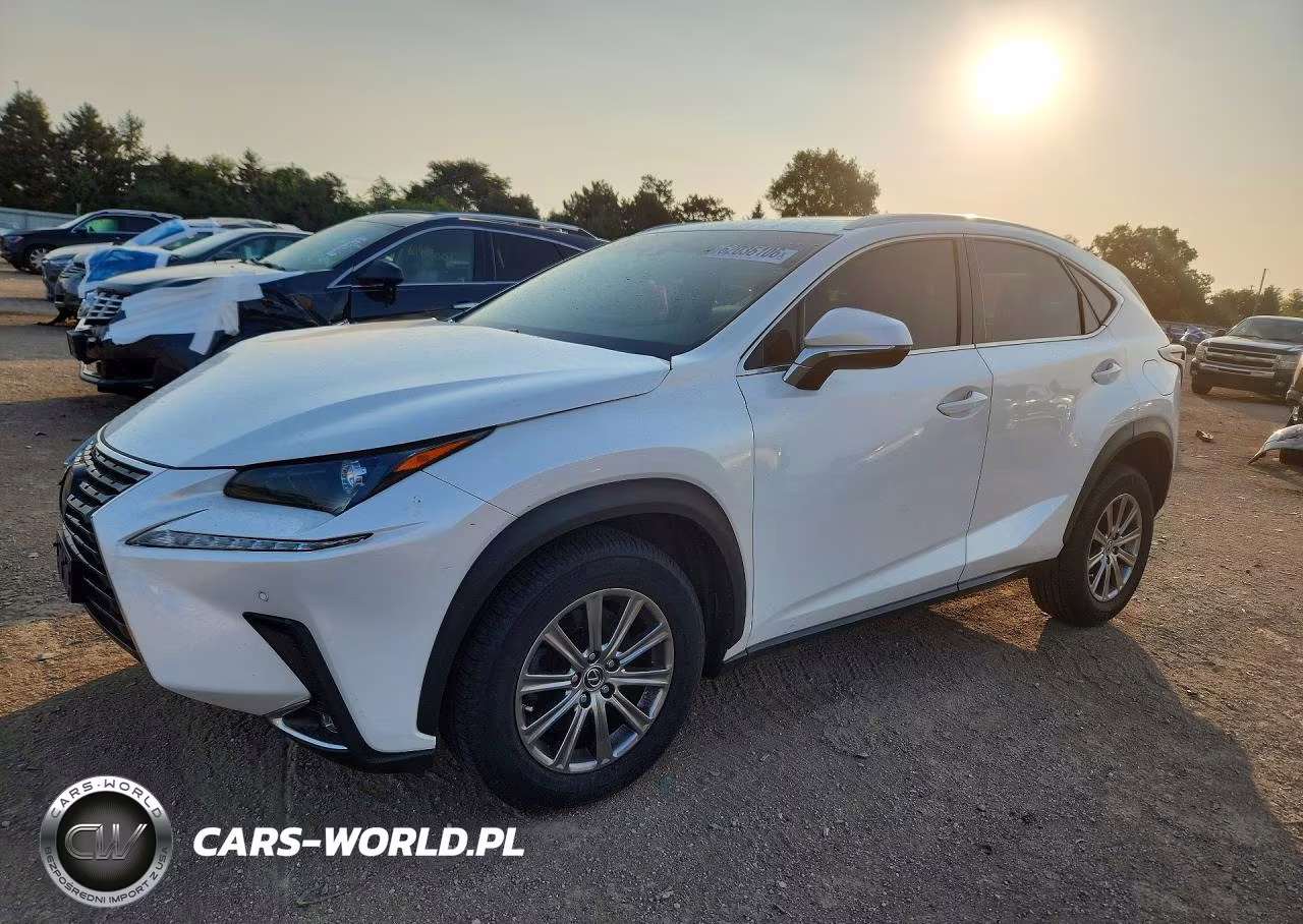2019 Lexus Nx 300 Base