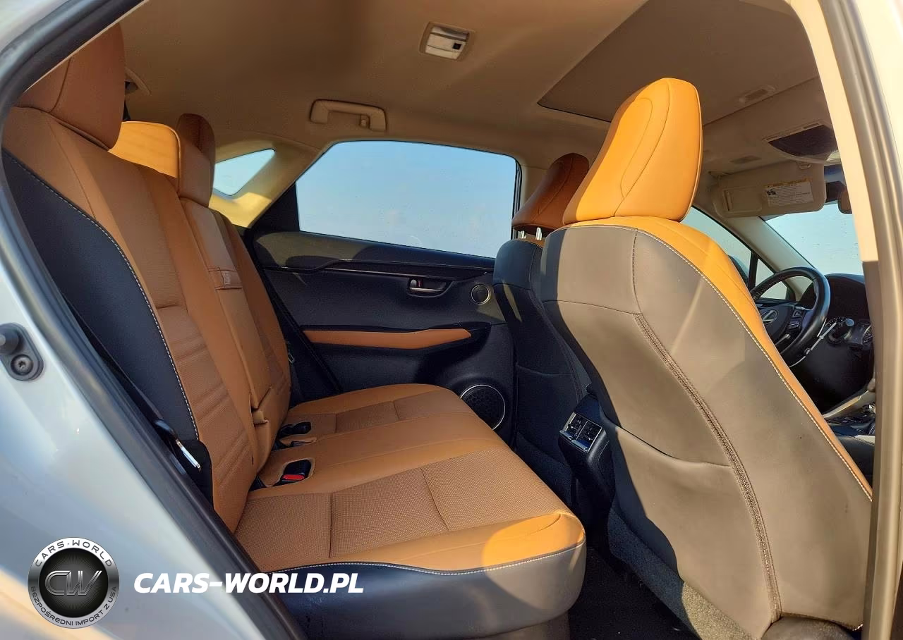 2019 Lexus Nx 300 Base VIN:JTJBARBZXK2216447 - 11