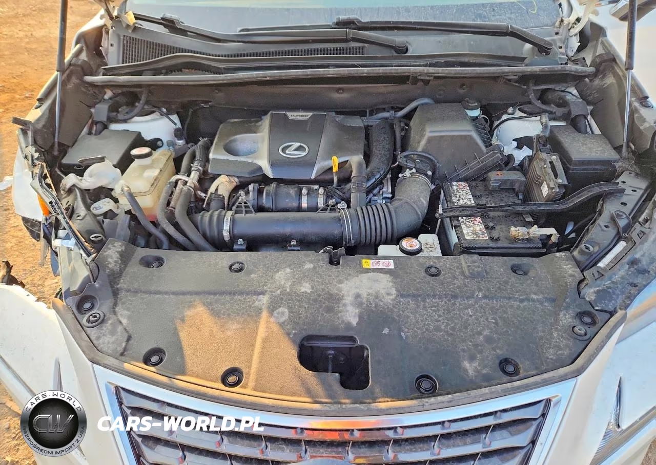 2019 Lexus Nx 300 Base VIN:JTJBARBZXK2216447 - 12