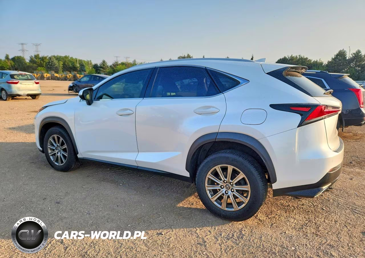 2019 Lexus Nx 300 Base VIN:JTJBARBZXK2216447 - 2